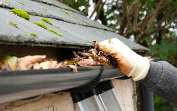 gutter cleaning North Scale, Cumbria