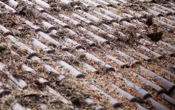 North Scale roof cleaning companies