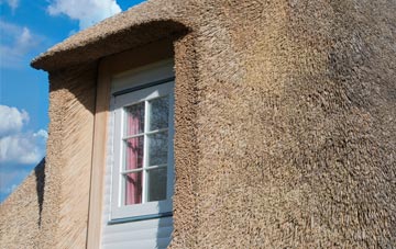 North Scale thatch roof disadvantages